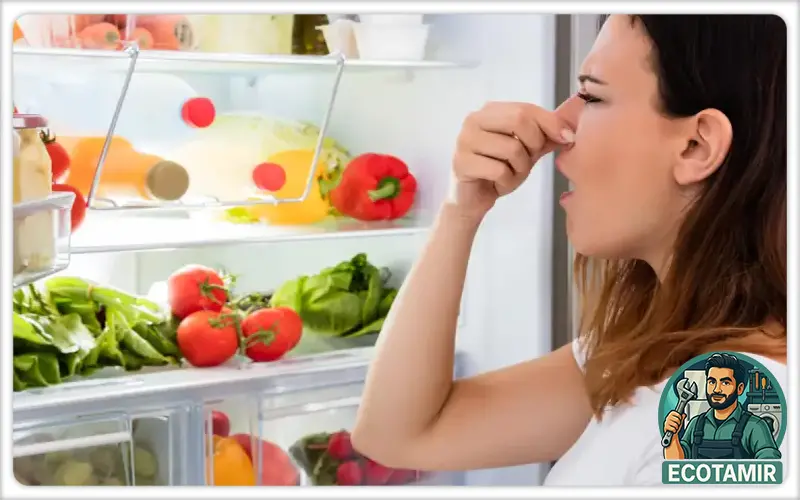 دلیل بوی بد داخل یخچال کنوود و راه حل آن